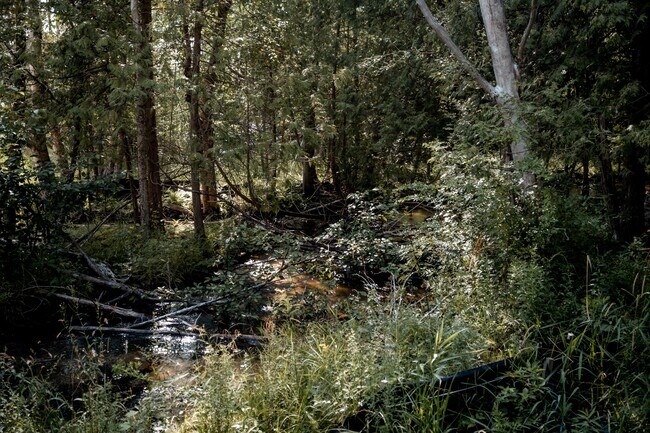 Woods by property - 5831 Oslo St