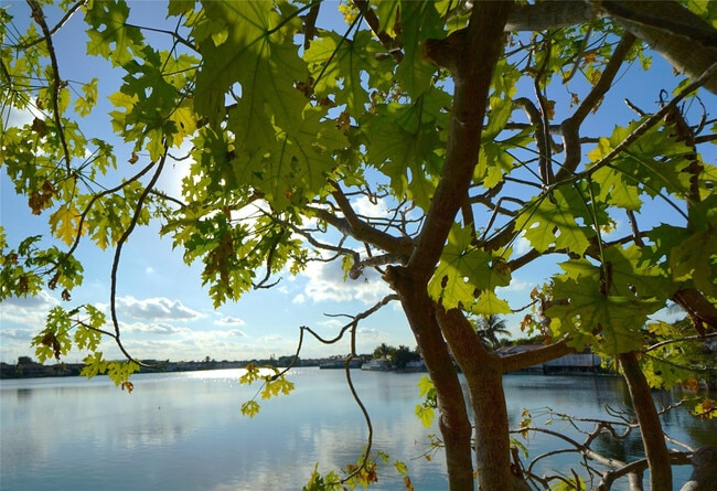 Building Photo - 6380 W 24th Ct