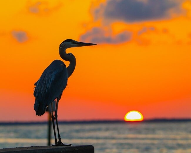 Building Photo - 1221 Sleepy Hollow Rd