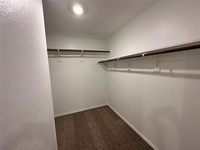 Building Photo - 3015 Serenity Ln