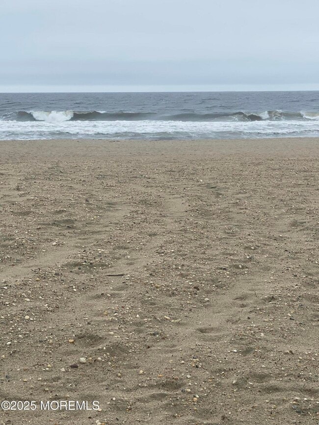 Building Photo - 309 Hume St