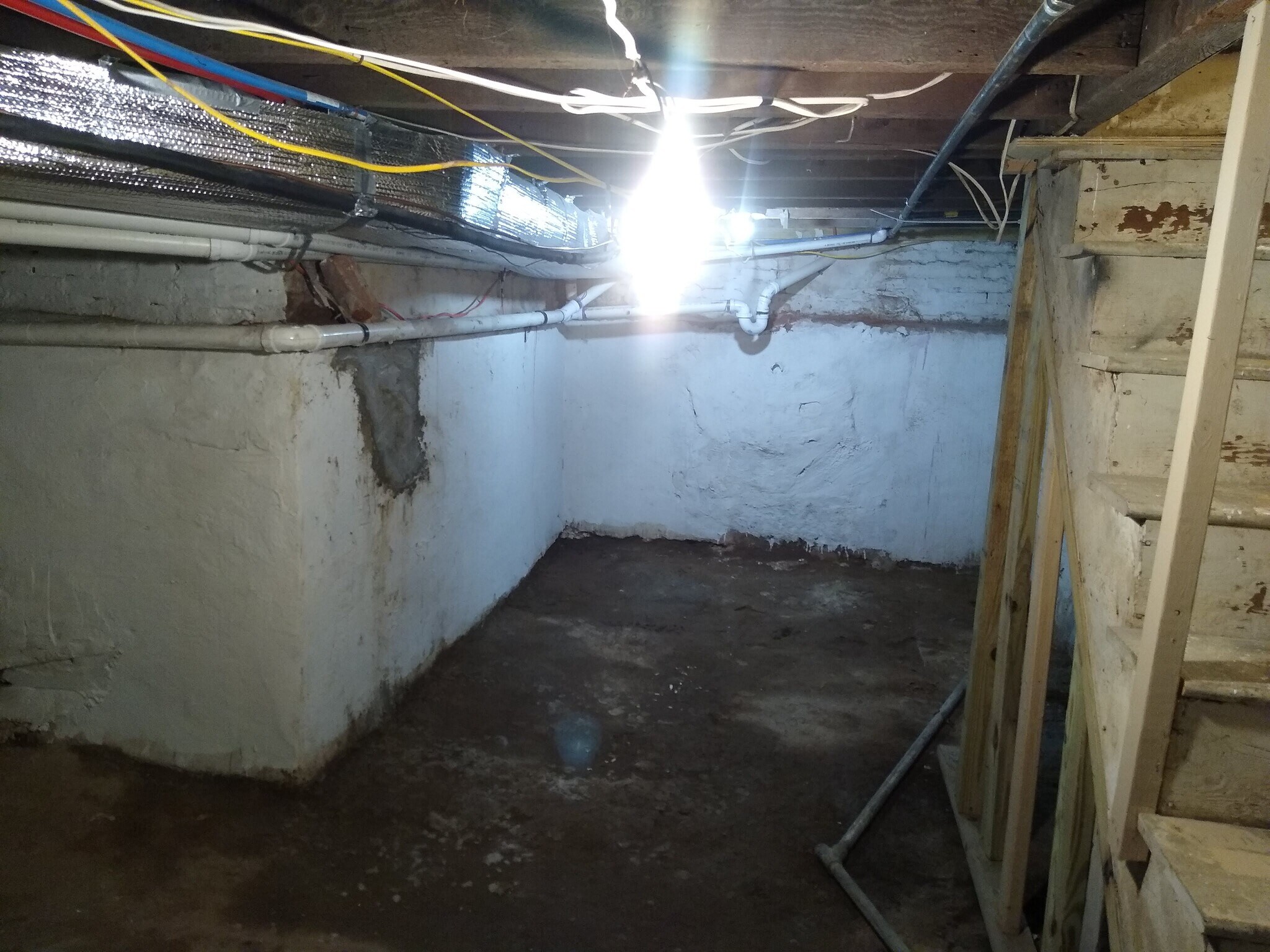 Building Photo - 2054 Ann St