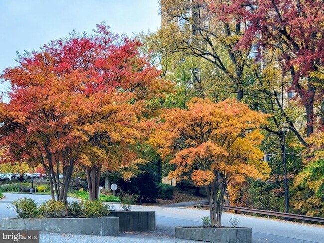 Building Photo - 5903 Mt Eagle Dr