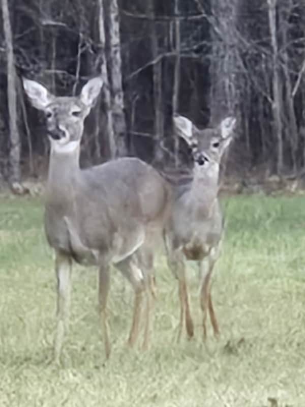 Building Photo - 8860 Teague Rd