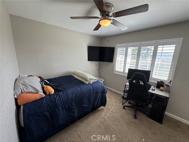 Building Photo - 4061 Mt Rushmore Dr