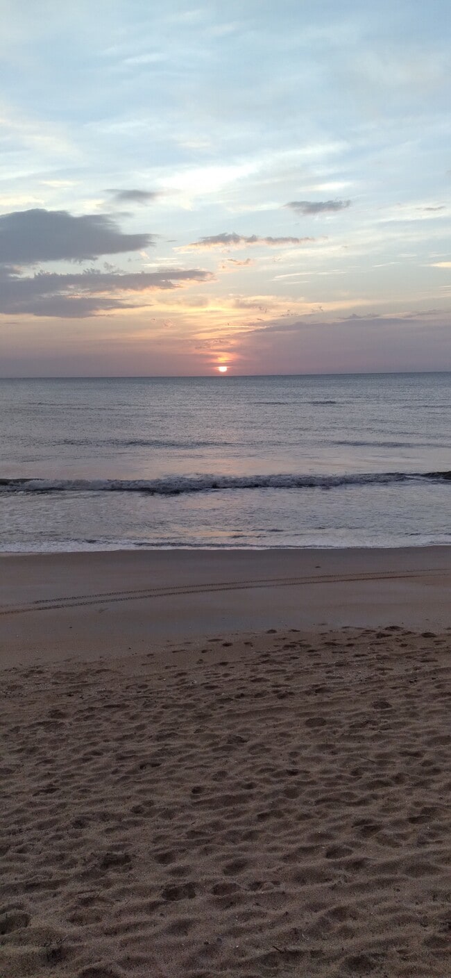 Building Photo - 306 Old Mission Rd