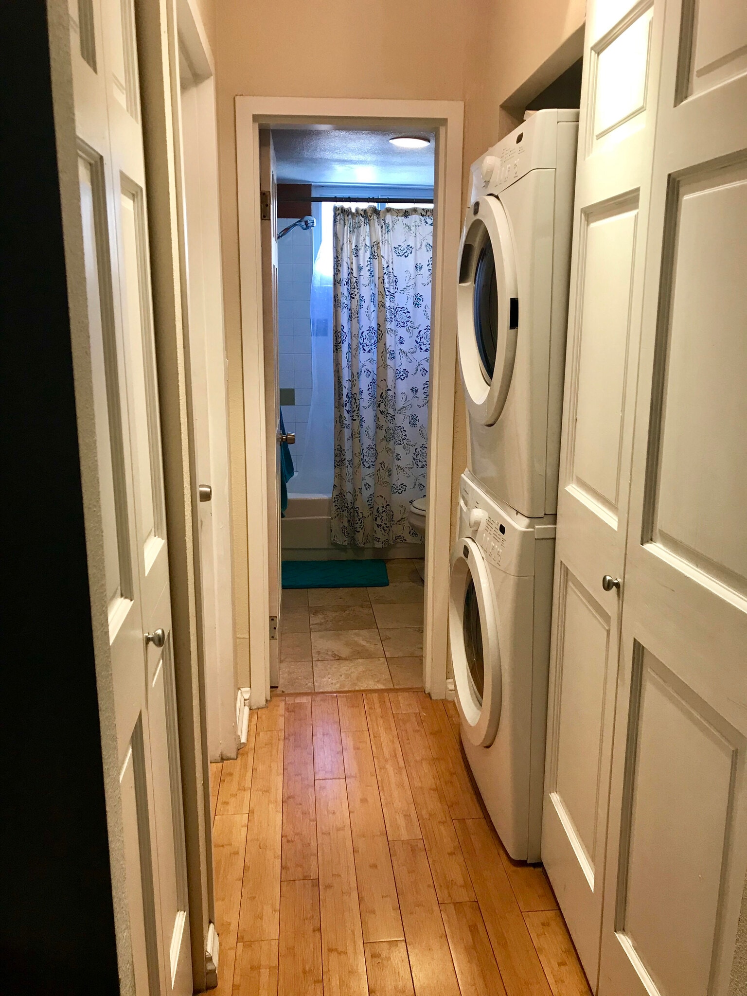 Hallway to bathroom and Bedroom - 1045 Pennsylvania Street
