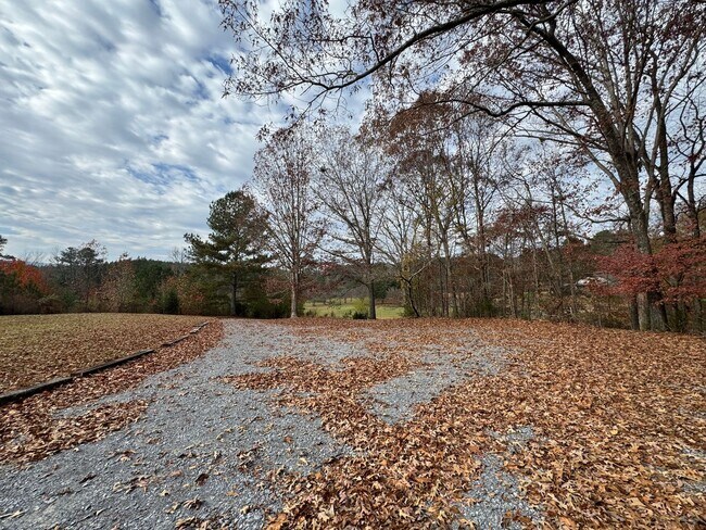 Building Photo - Private 3/2 Country House- $1,595