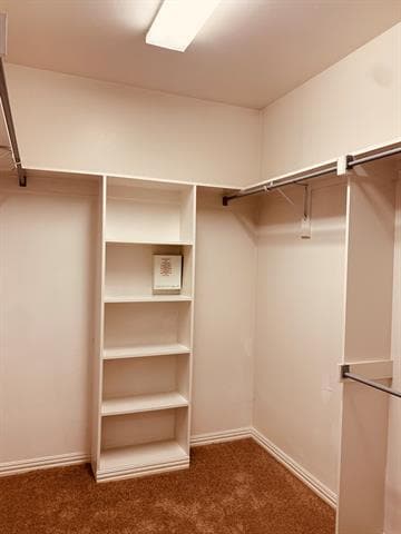 Building Photo - 852 Brockden Dr