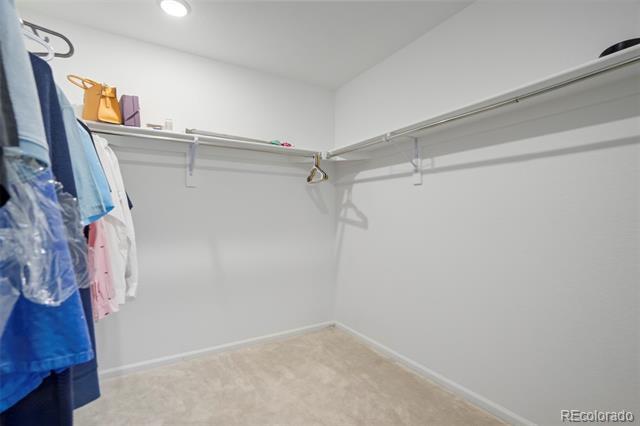 Building Photo - 5431 Sunday Gulch Dr