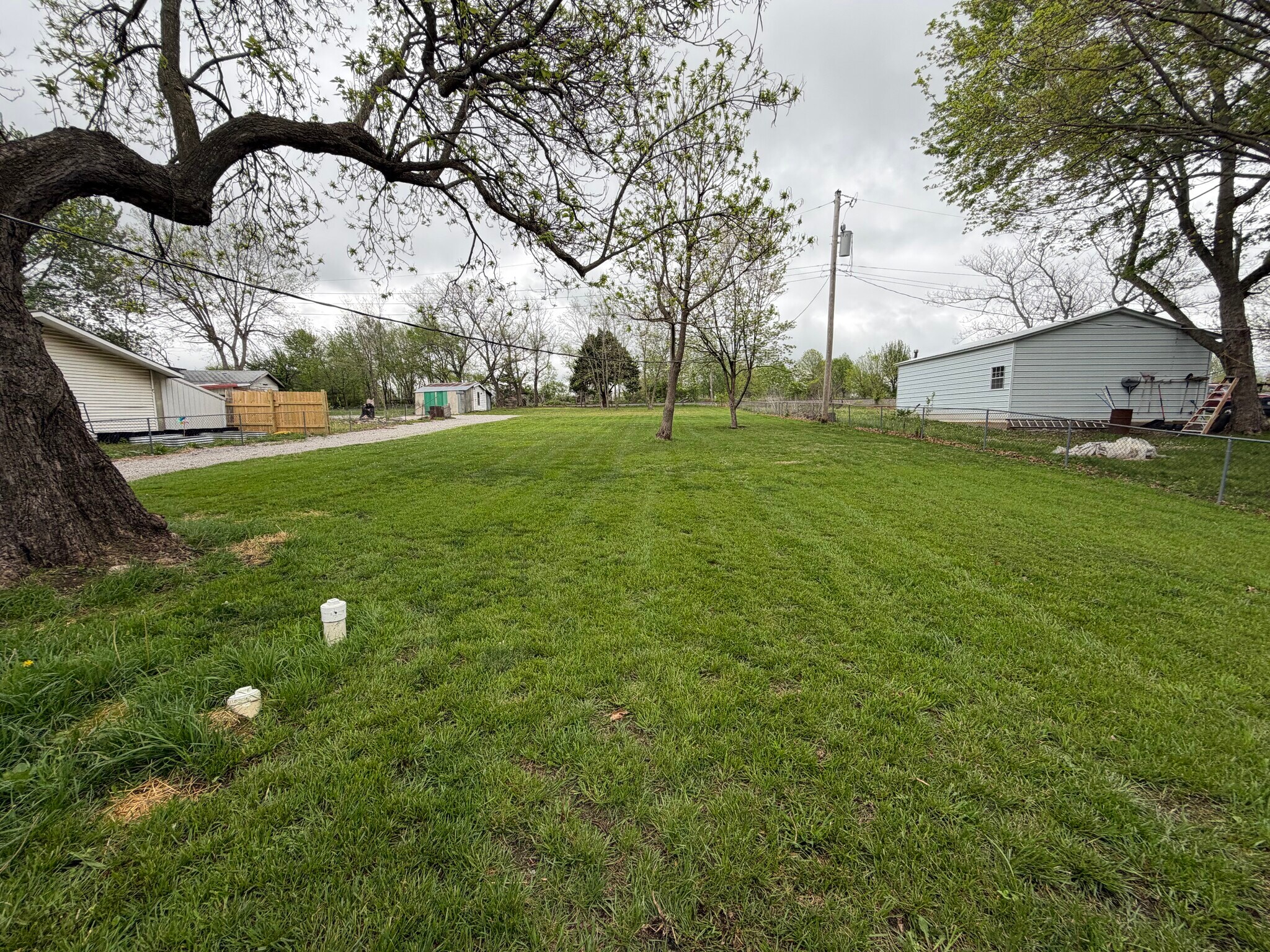 Backyard from backdoor - 18619 S State Route D