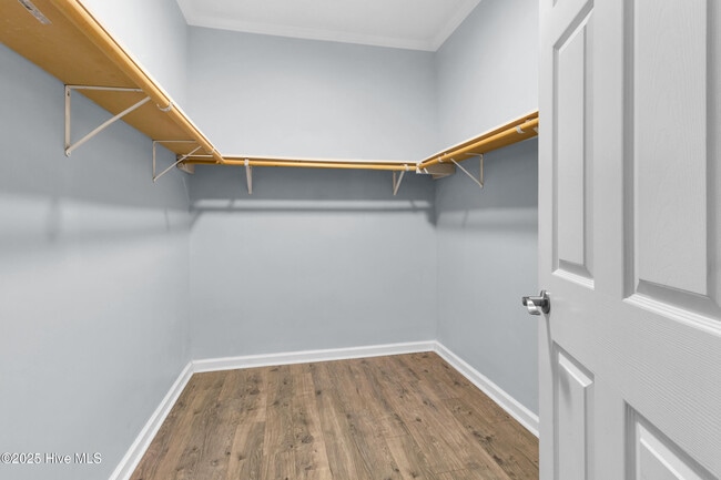 Building Photo - 907 Port Royal Ct