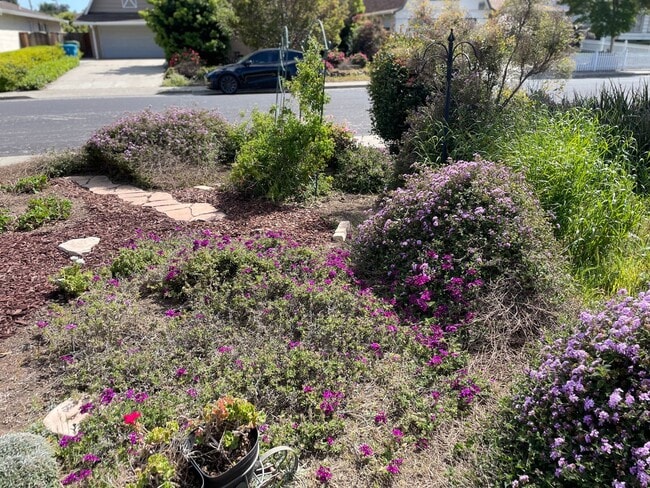Building Photo - Beautiful home with AC in PRIME Santa Clara location - 3 bd / 2 bath coming soon!