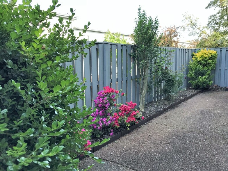 Small garden in the patio - 1900 Richard Jones Rd