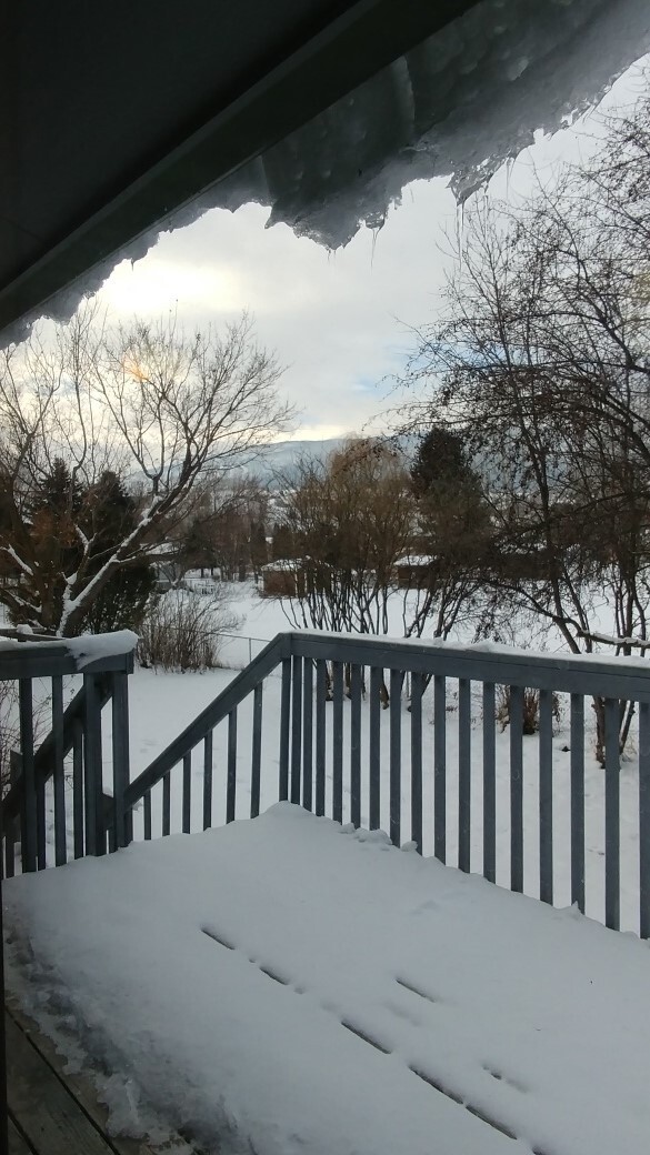 Building Photo - Home in Lolo with Fenced Yard and Pets Considered