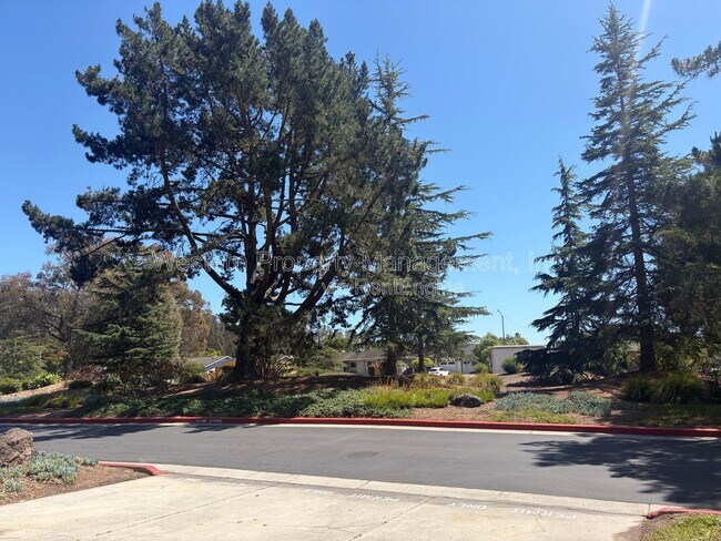 Building Photo - 1132 Callas Ln