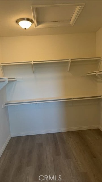 Building Photo - 1312 Macneil Dr