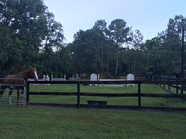 Building Photo - Horse property in St. Johns County
