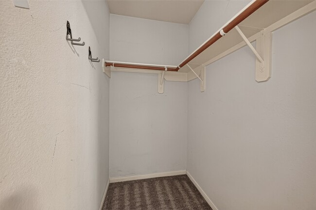 Building Photo - 12135 English Brook Cir