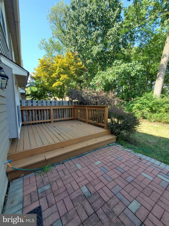 Building Photo - 261 Tulip Tree Ct