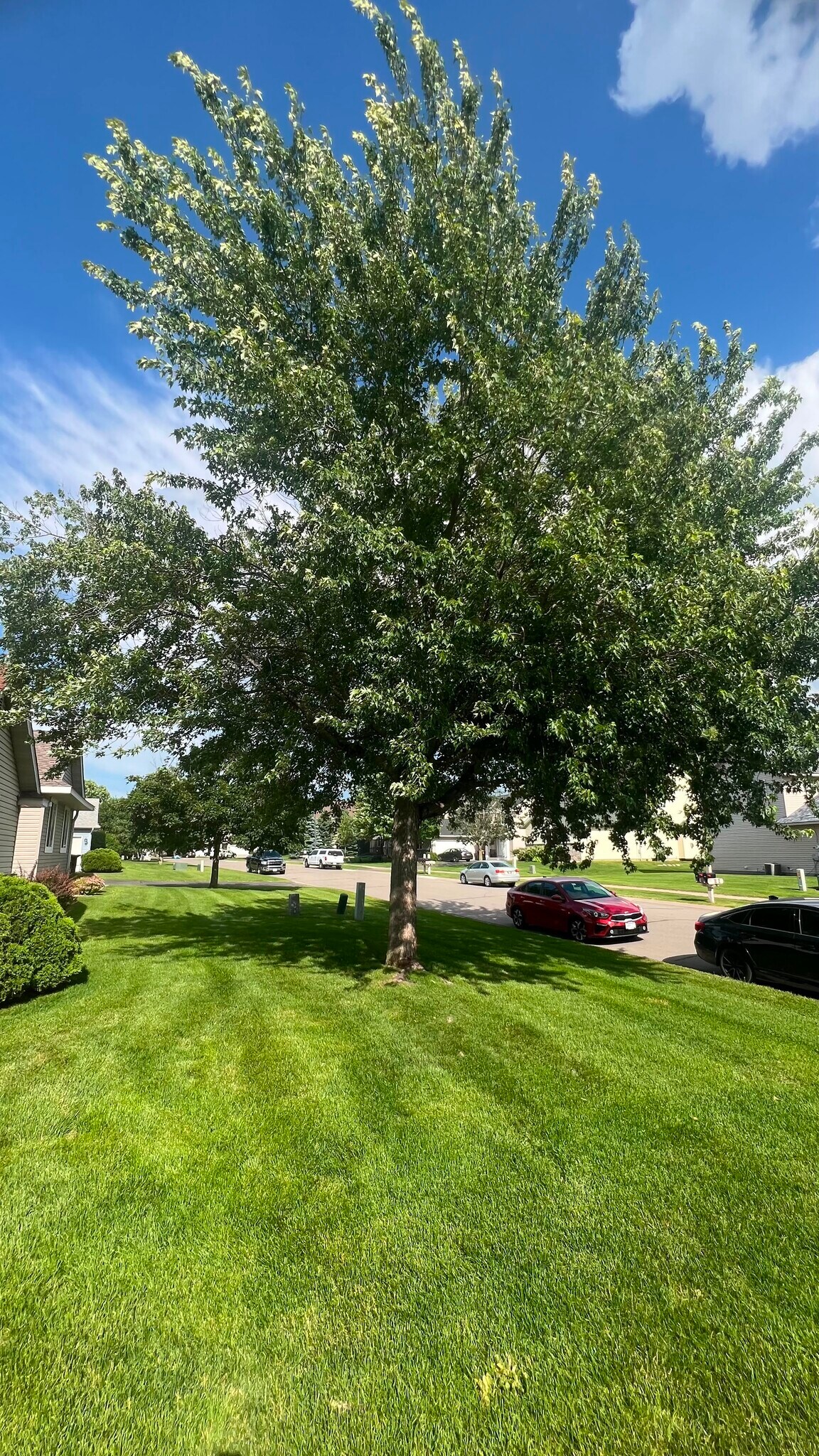 Building Photo - 2853 Wyndam Ct