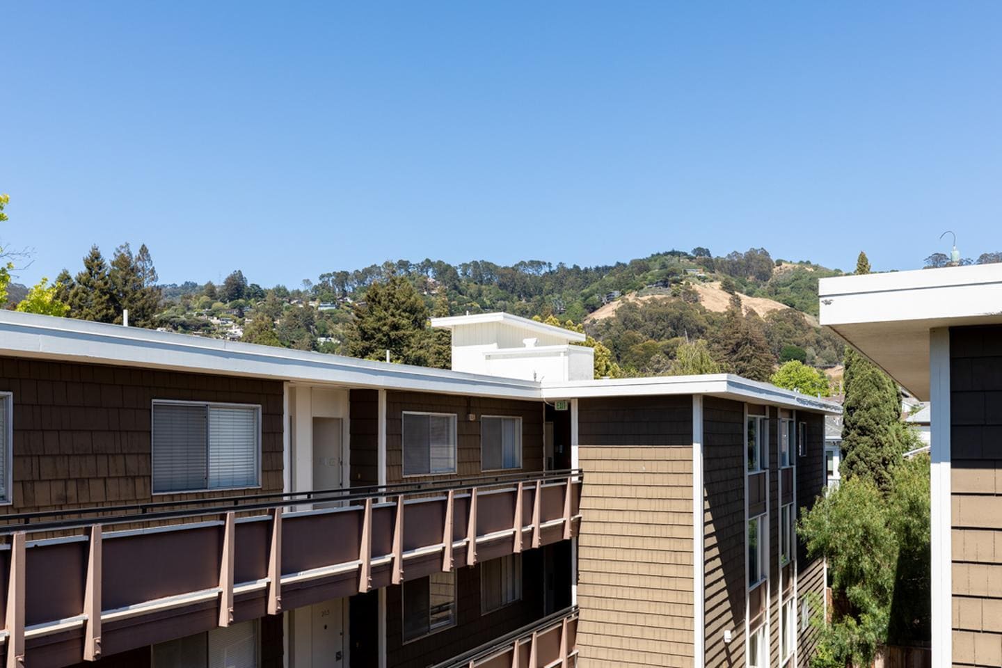 Building Photo - Elmwood 2 bed 1 bath condo great location