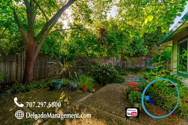 Building Photo - Benicia condo with private backyard and nearby amenities