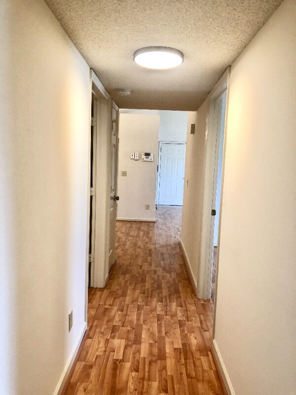 Building Photo - 803 Moultrie Ct