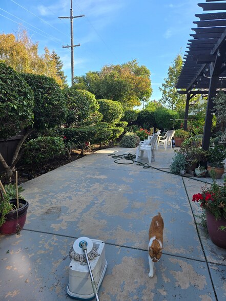 Building Photo - 5212 Antiquity Cir