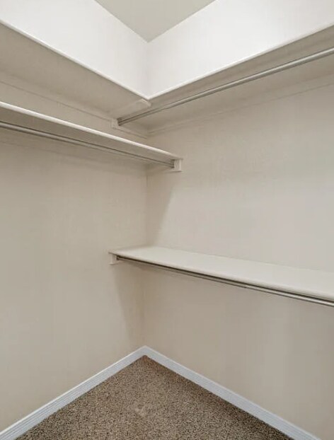 Building Photo - 3507 Luz Bonita Ln