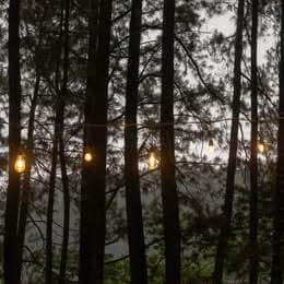 Building Photo - 5519 FM 2011