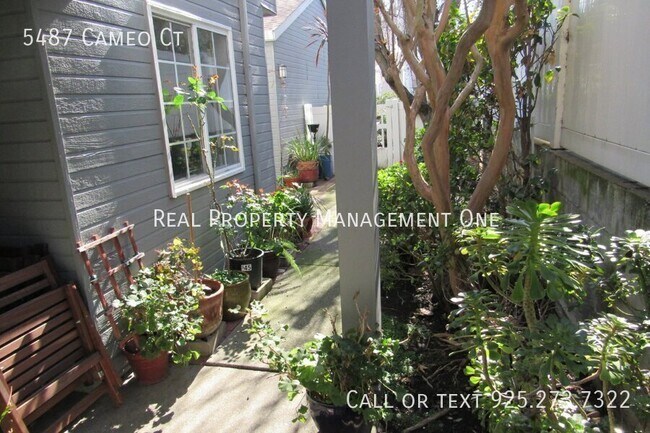 Building Photo - 5487 Cameo Ct