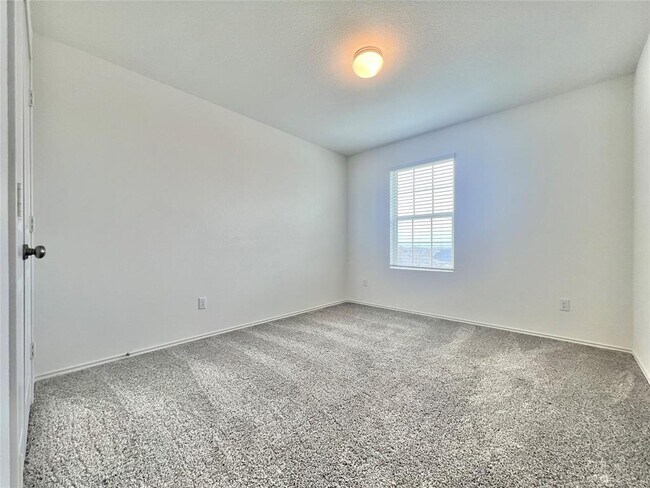 Building Photo - 6533 Strelitzia Cove