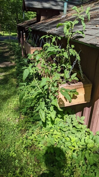 Building Photo - 8970 E Gull Lake Dr