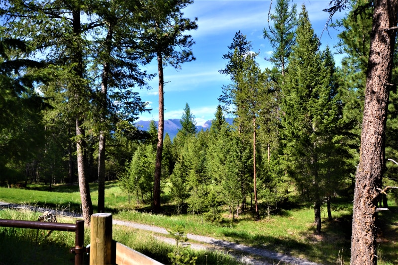 Building Photo - 217 Redwing Dr