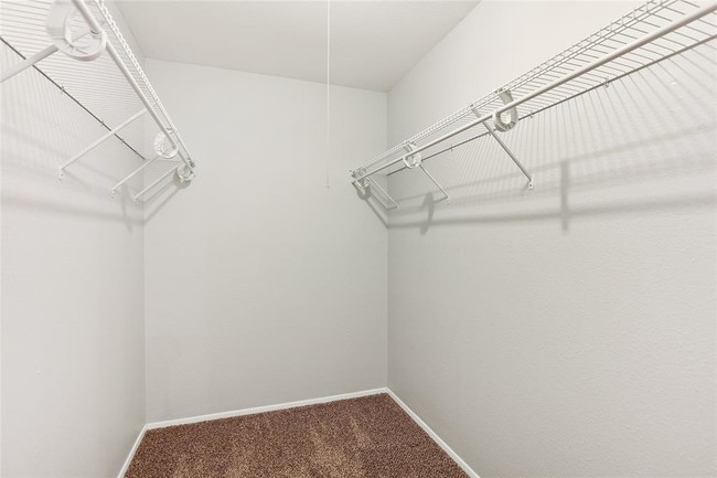 Building Photo - 6 Basal Briar Ct