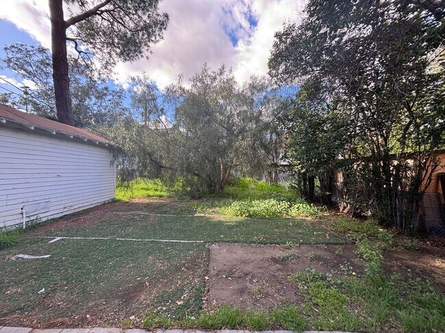 Building Photo - 5093 Olivewood