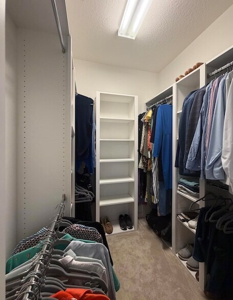 Building Photo - 223 Soriano Dr