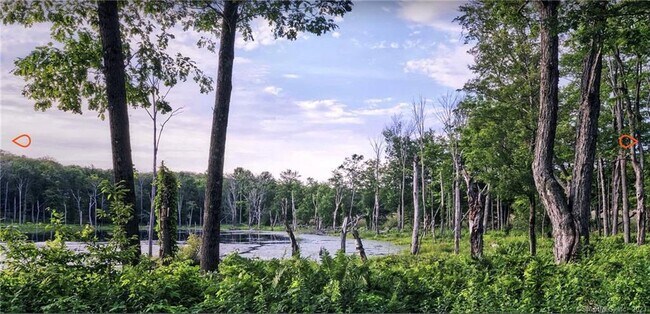 Building Photo - 8 Chester Rd