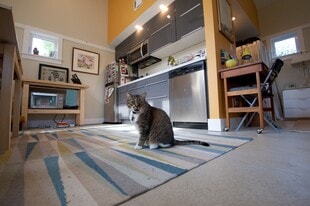 Building Photo - 4239 NE Skidmore St.