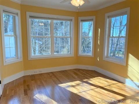 Building Photo - 462 Main St