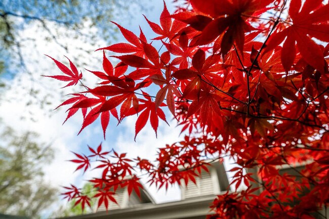 Building Photo - 11468 Club Dr