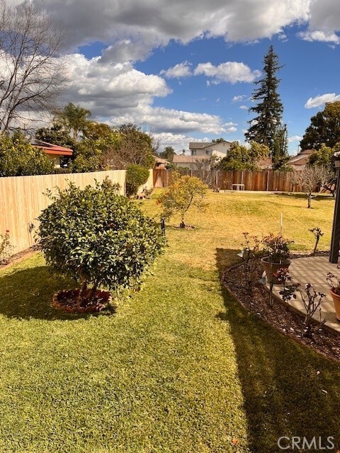 Building Photo - 1054 Mayflower Ave