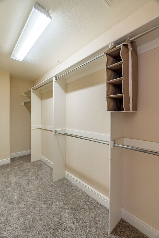 Building Photo - Four Bedroom Home Walking Distance to UofA! Lawn Care Included! AVAILABLE IN JULY!!!!!