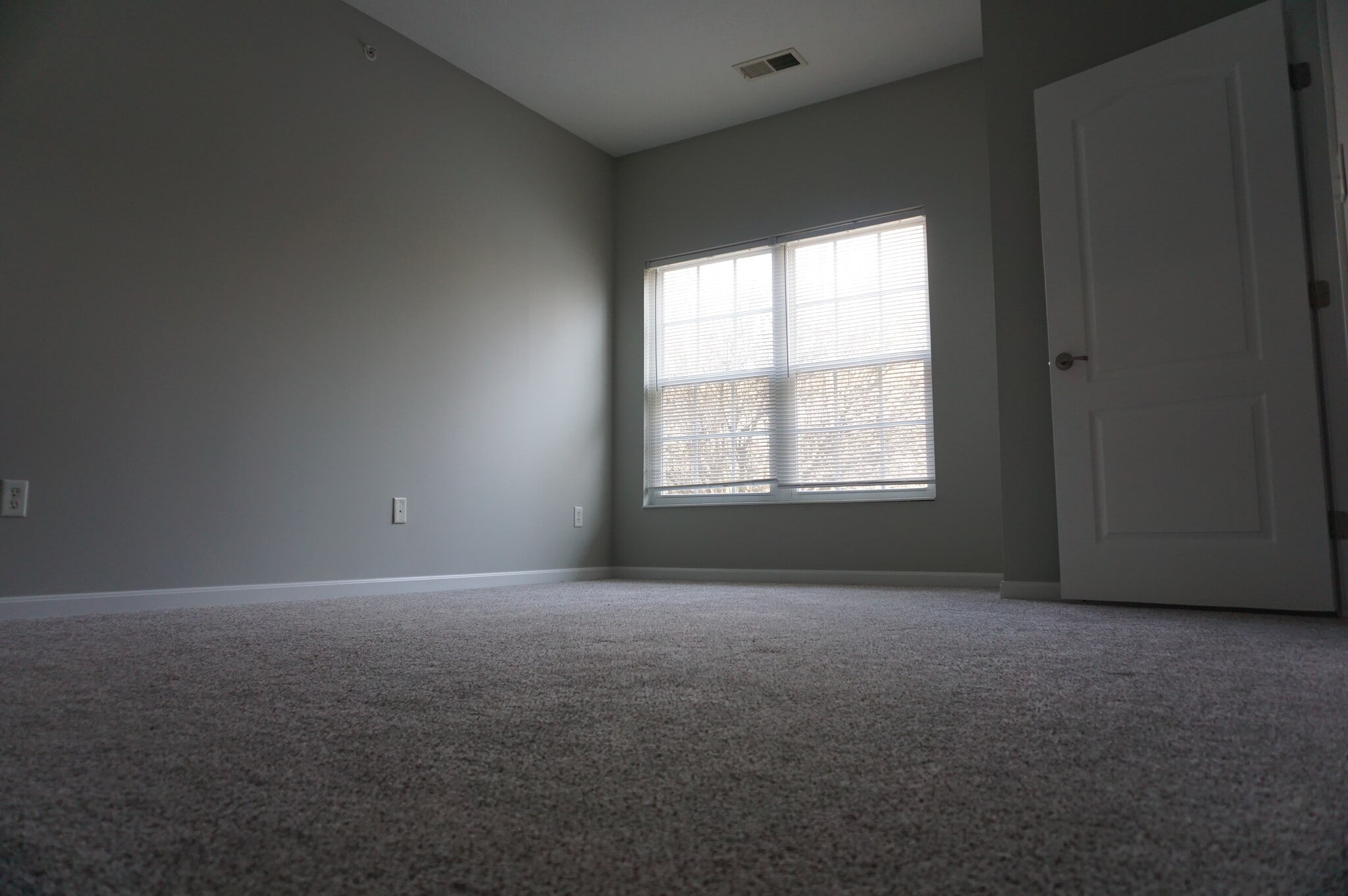 Second Bedroom - 2636 Harding Ct