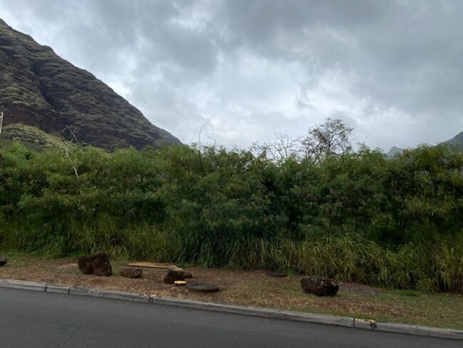 Building Photo - Breezy Fresh, Freshly Renovated 2/1 at Makaha Valley Plantation