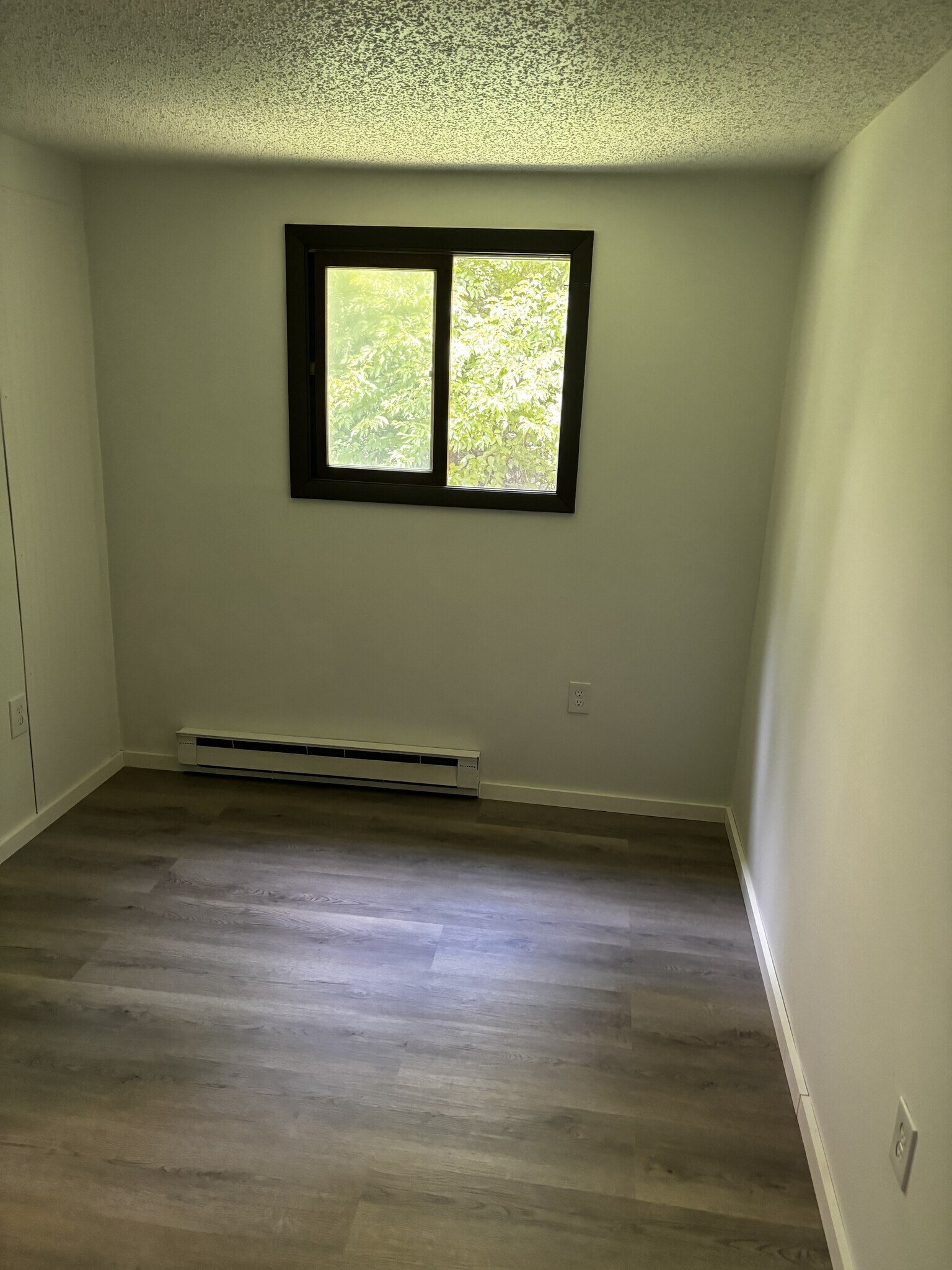 Bedroom two 8'x13' - 4 Prescelly Dr