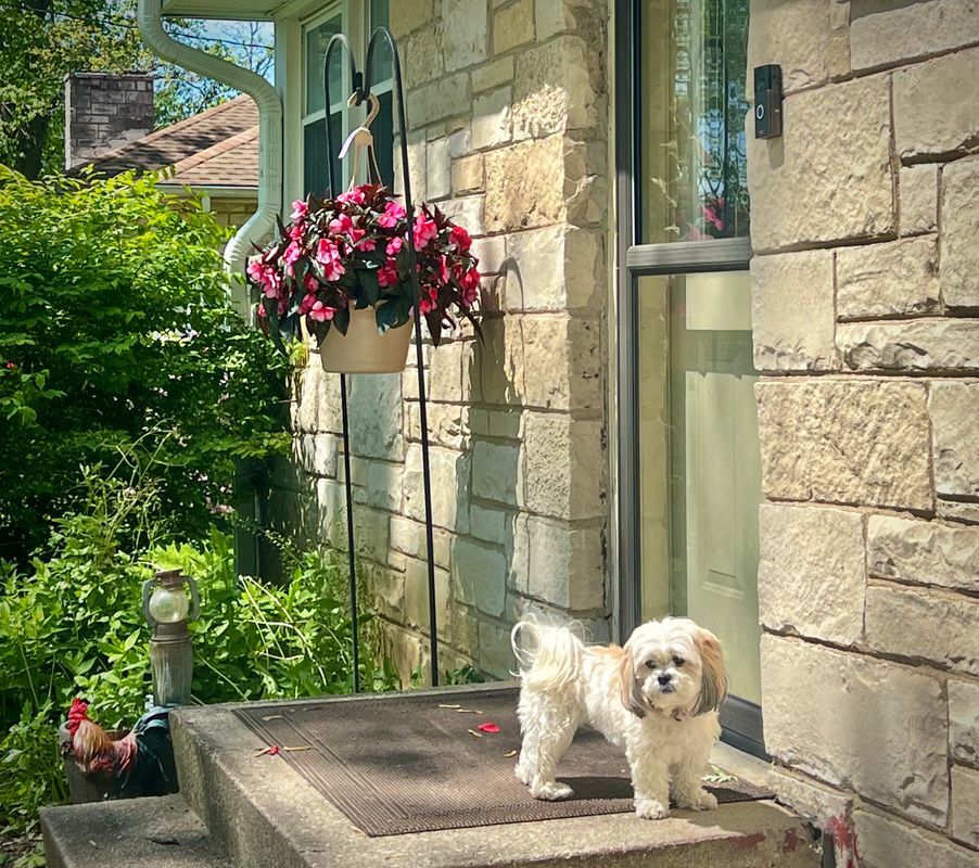 Building Photo - S80W19060 Janesville Rd