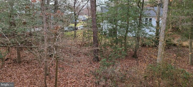 Building Photo - 7538 Stonehouse Run Dr