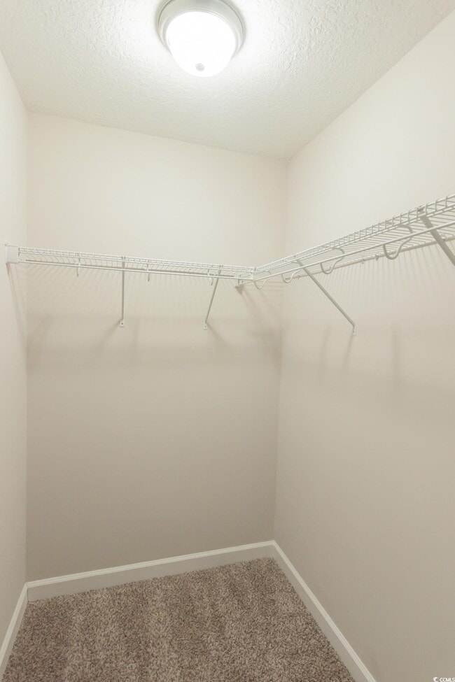 Building Photo - 3793 Mayfield Dr